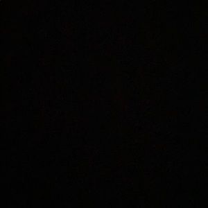 Meet your Posher, Ella